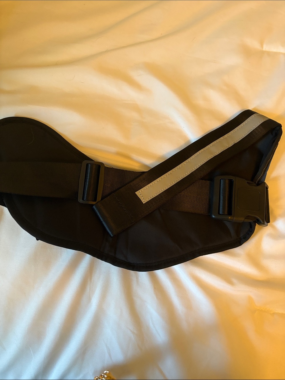 Blue Comfort No-Pull Harness - Picture 2 of 3